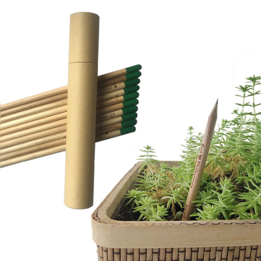 Impeccable Eco-Friendly Plantable Pencils