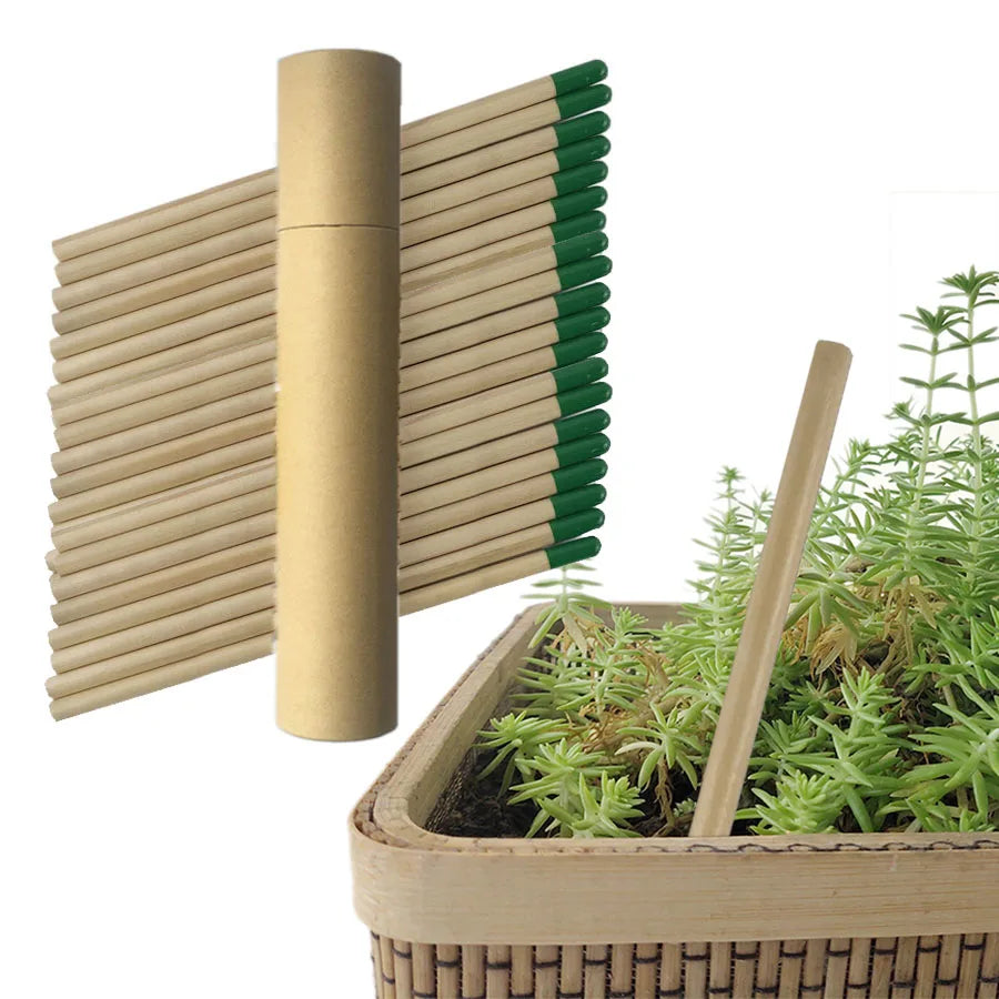 Impeccable Eco-Friendly Plantable Pencils