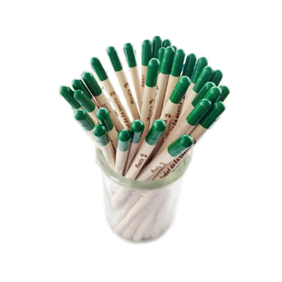 Impeccable Eco-Friendly Plantable Pencils